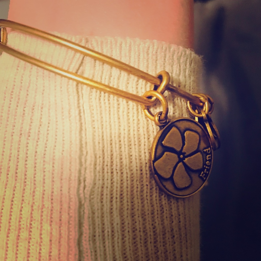 💥 price drop Alex & ani friendship charm bracelet